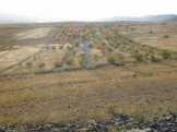 15.08.2011 088.jpg