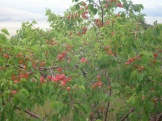 P1010037.JPG