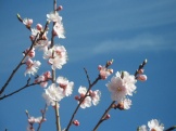 2012 054.jpg
