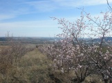 2012 062.jpg