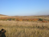 15.08.2011 110.jpg