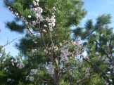 2012 056.jpg