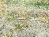 PA200009.JPG