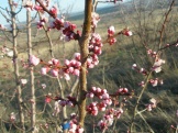 2012 043.jpg