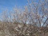 2012 044.jpg