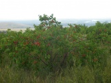 P1010036.JPG