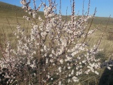 2012 038.jpg