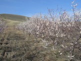 2012 060.jpg