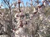 2012 036.jpg