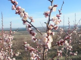 2012 035.jpg