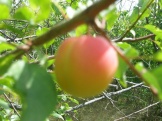 P1010028.JPG
