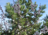 2012 057.jpg