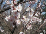 2012 052.jpg