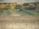 15.08.2011 080.jpg