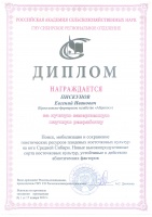Диплом Диплом