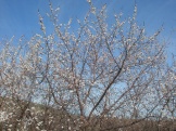 2012 045.jpg
