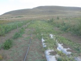 15.08.2011 024.jpg